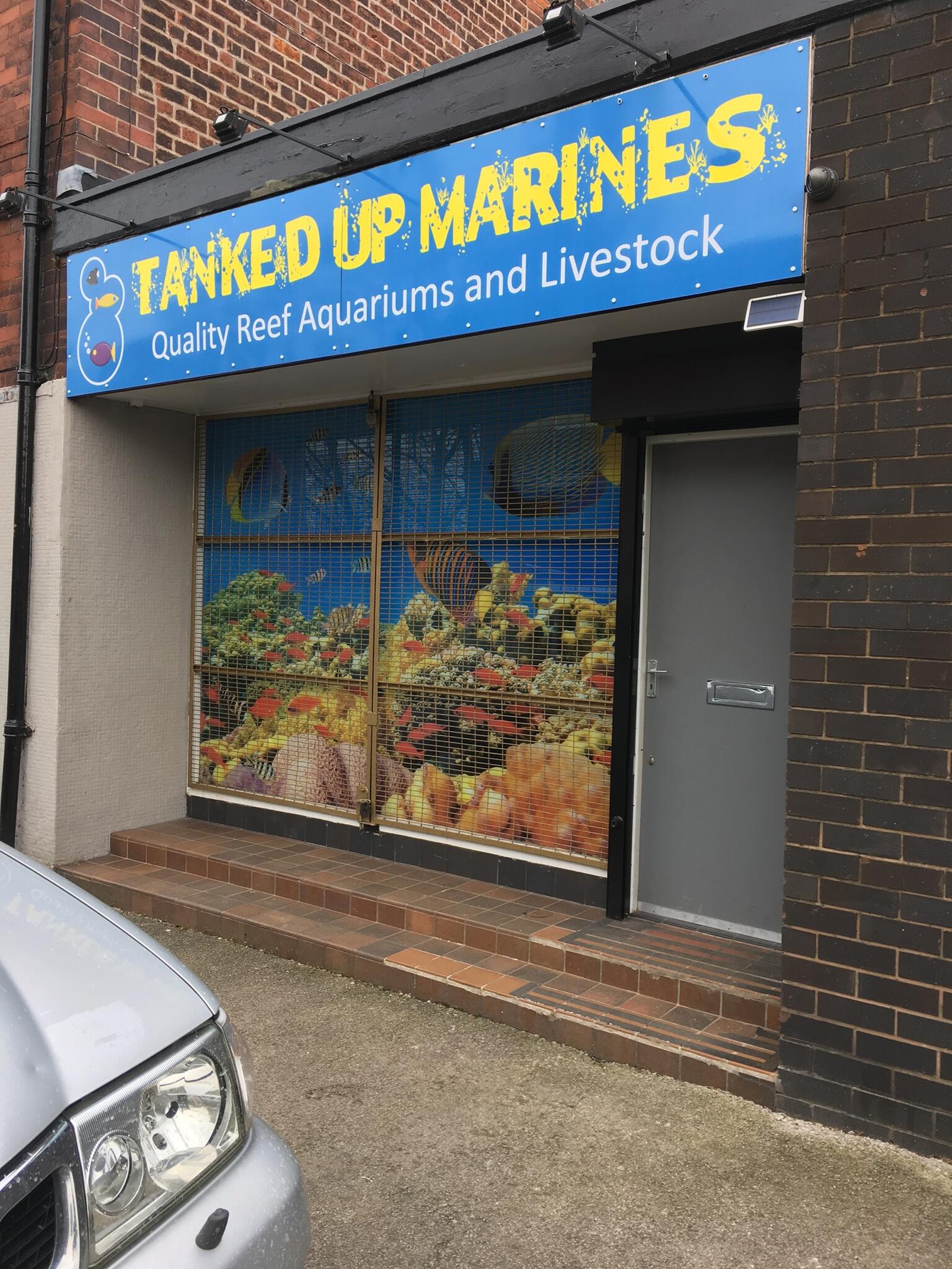 What Does Tanked Me Up Mean? _ Decoding Tank: Unveiling the Slang ...