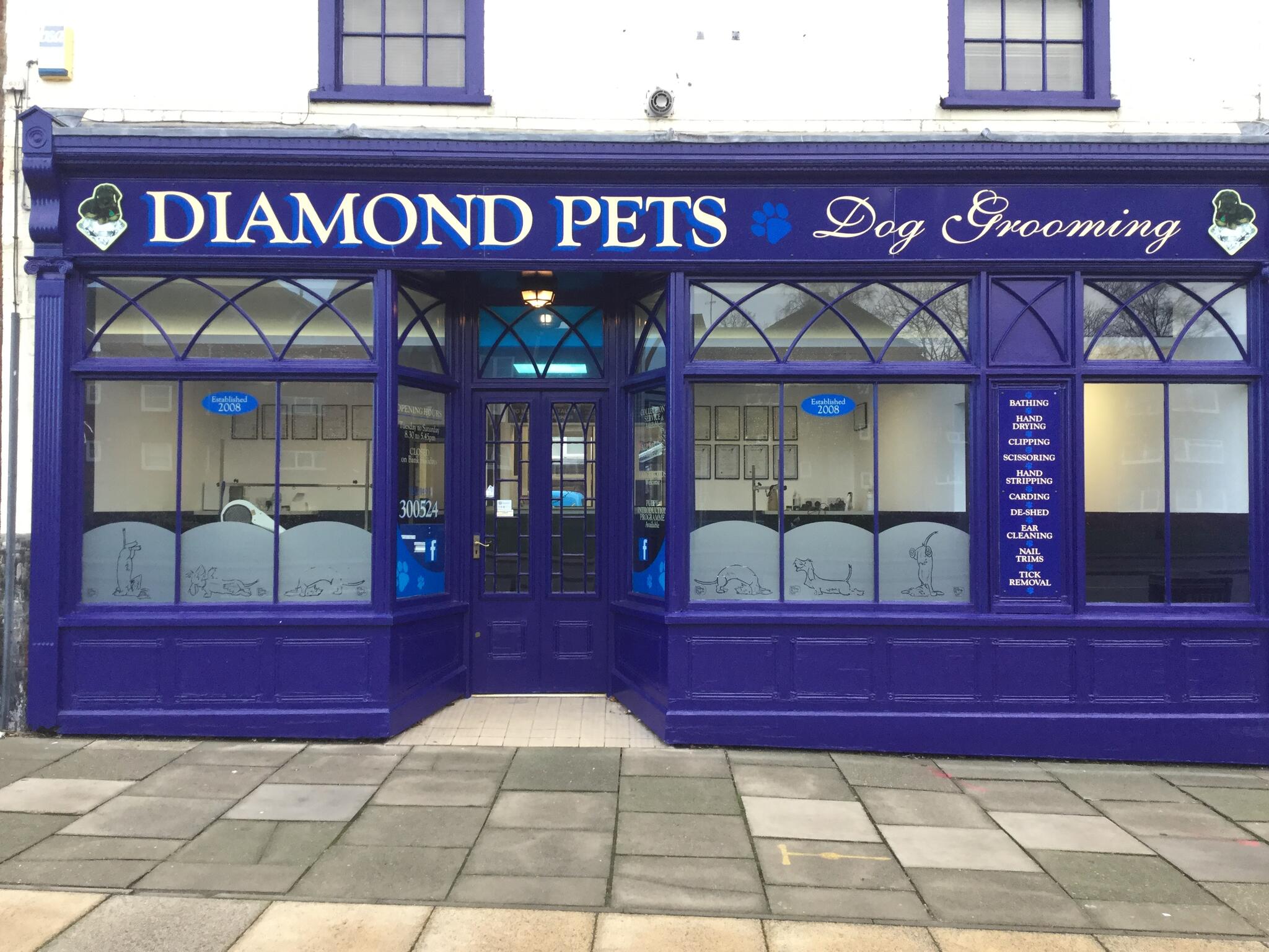 Diamond Pets Great Yarmouth Nextdoor