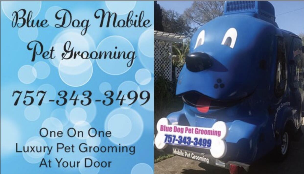 Mobile Dog Grooming in Virginia Beach: A Complete Guide for Pet Lovers