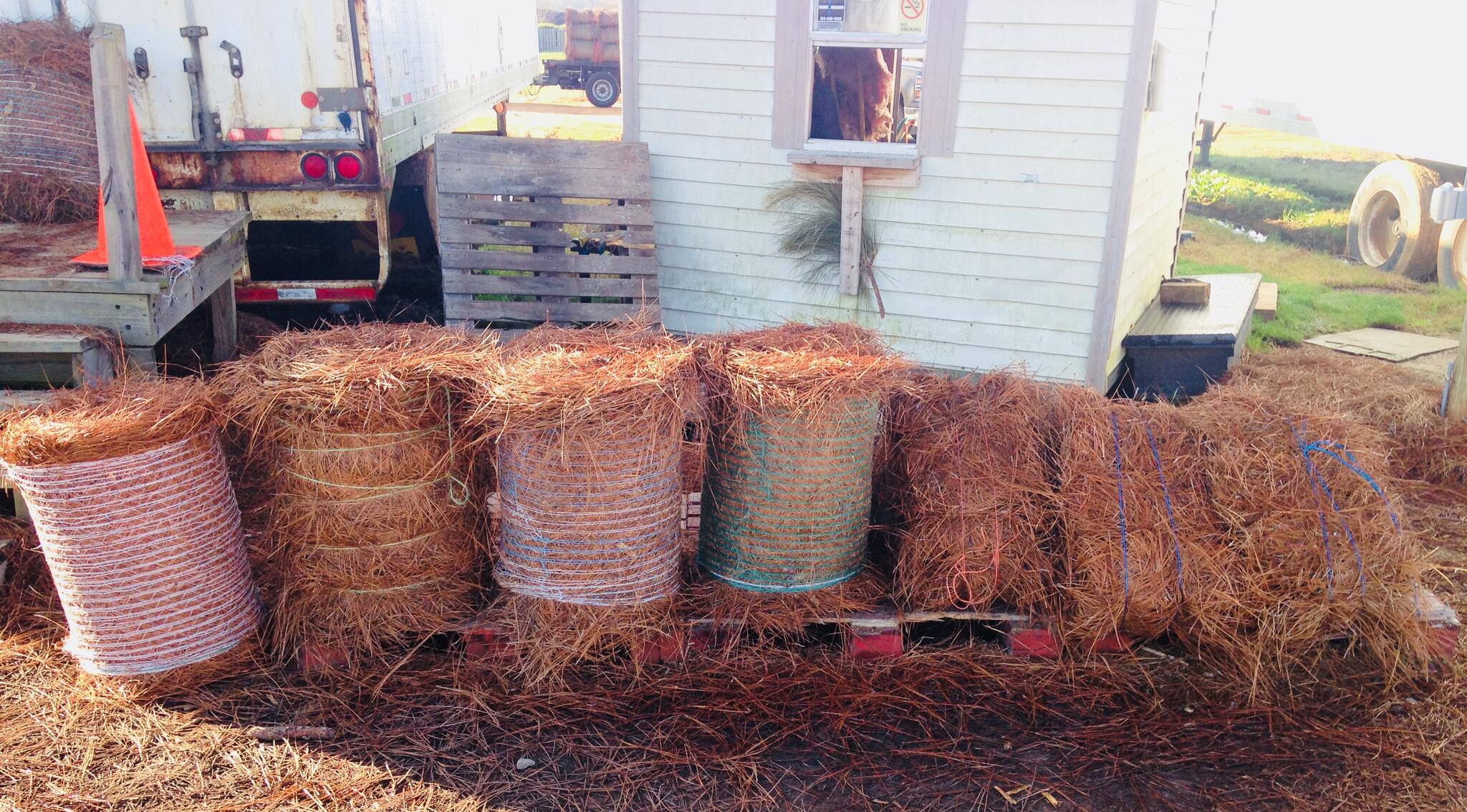 River Region Straw Nextdoor