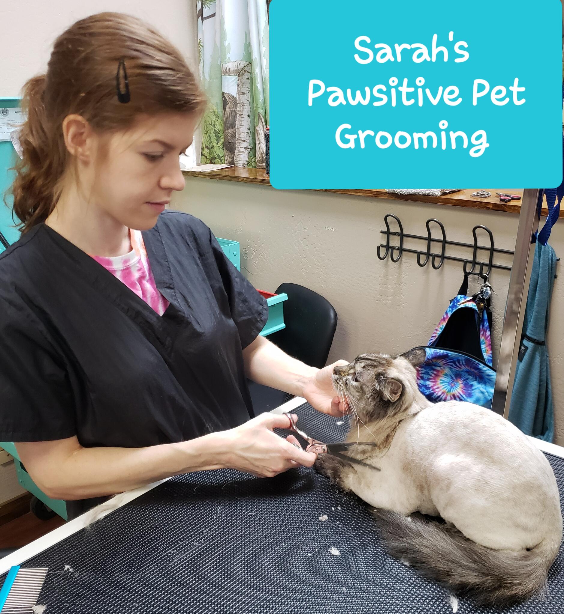 Pawsitive store pet grooming