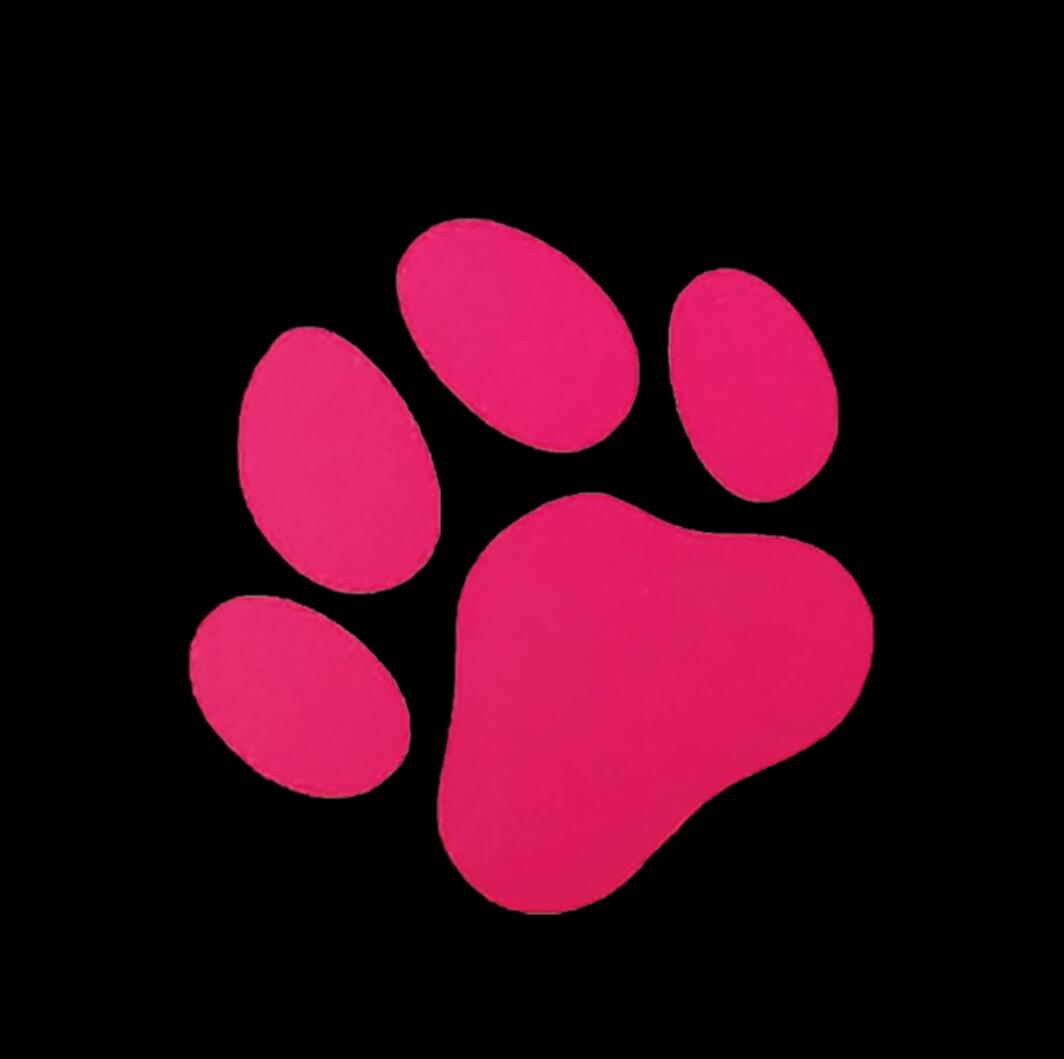 Pawlished Pup of SRQ