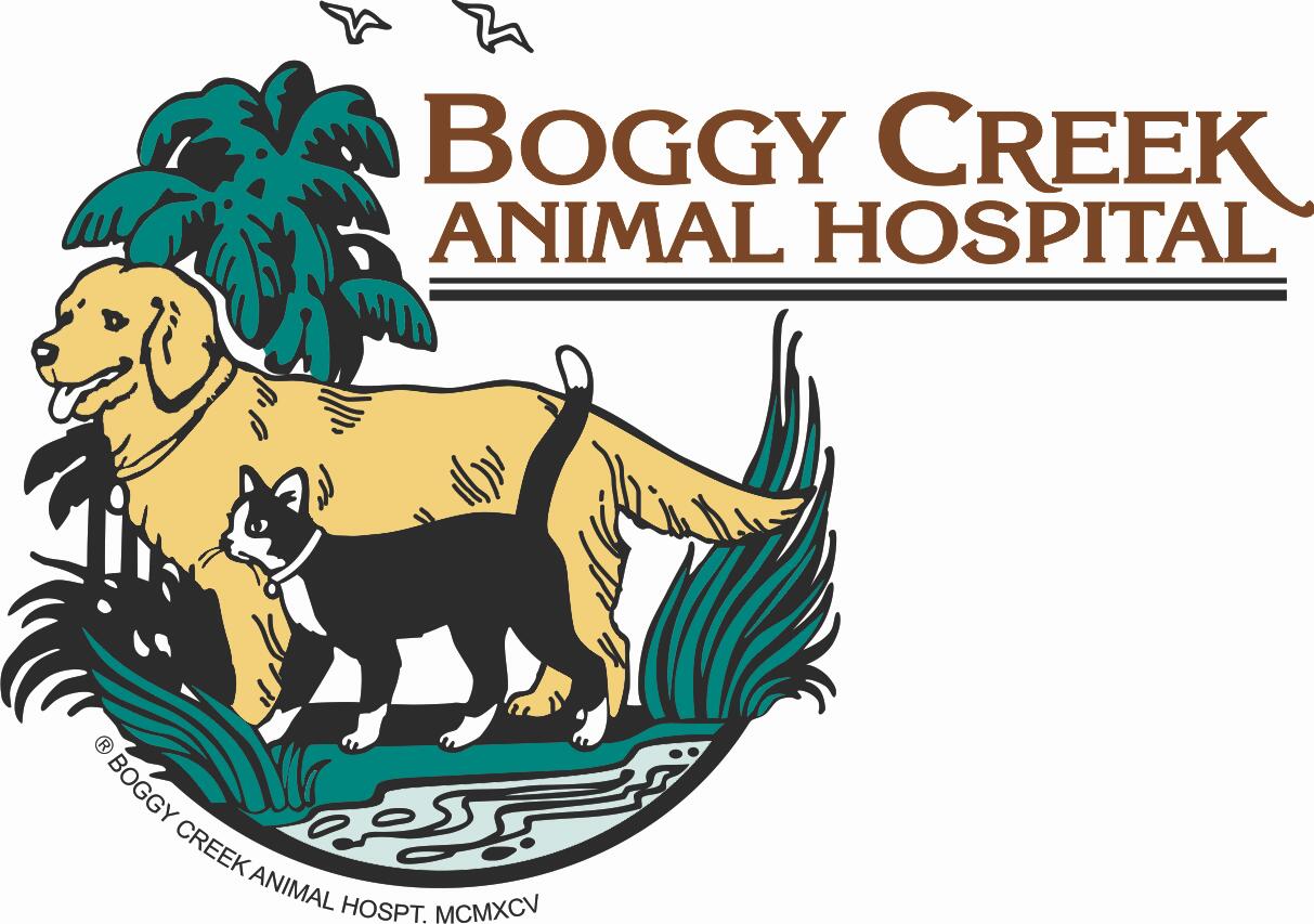 Boggy Creek Animal Hospital - Kissimmee, FL