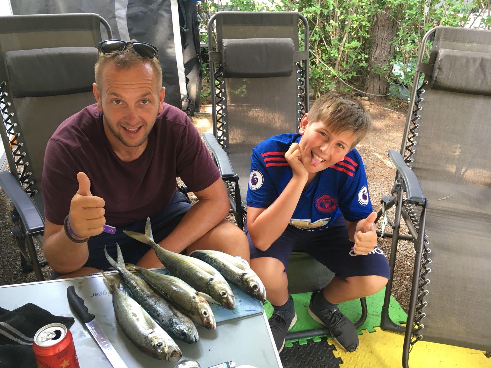 Oakwood Fencing High Nextdoor