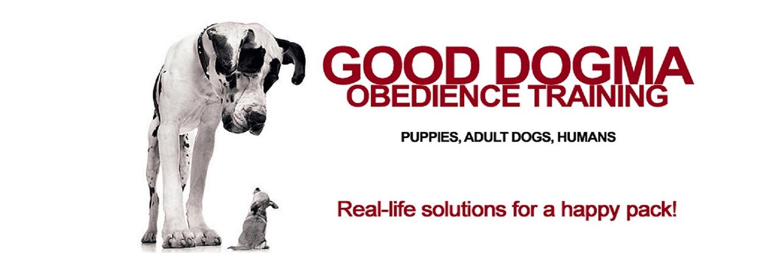 Obedience school hot sale for humans