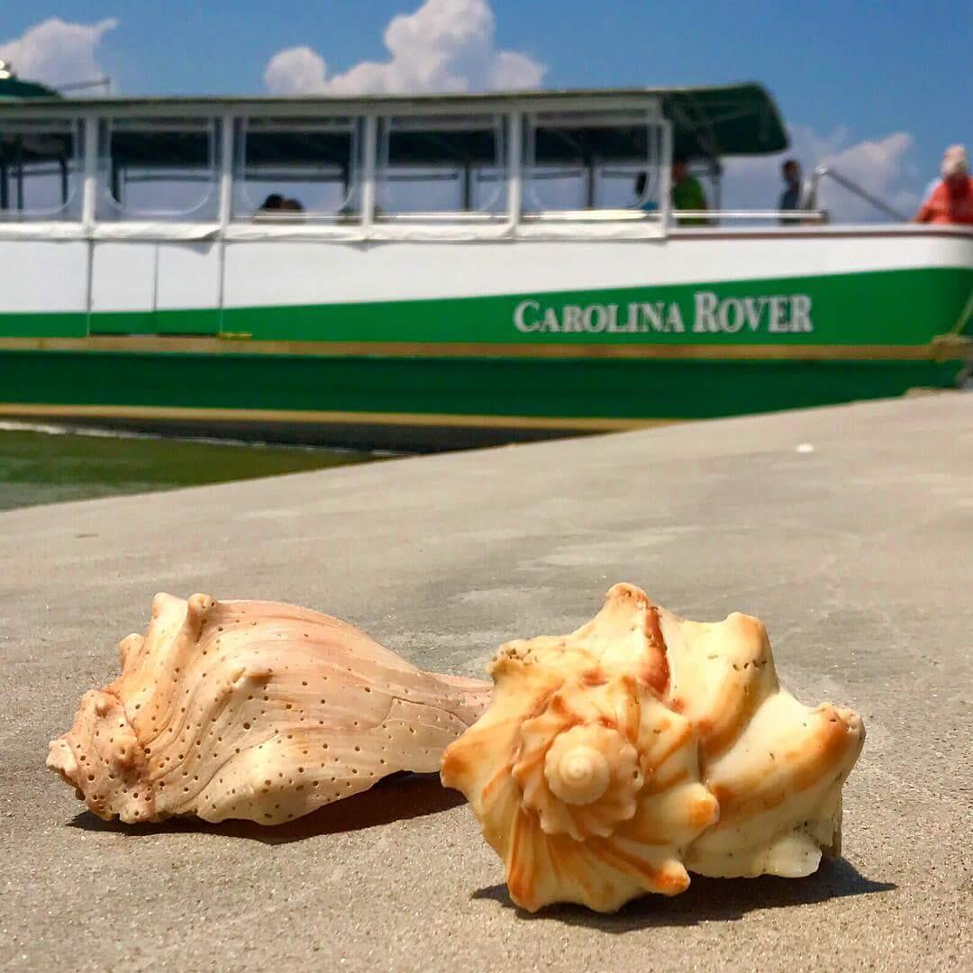 Shelling and Lighthouse Cruise - Georgetown, SC - Nextdoor