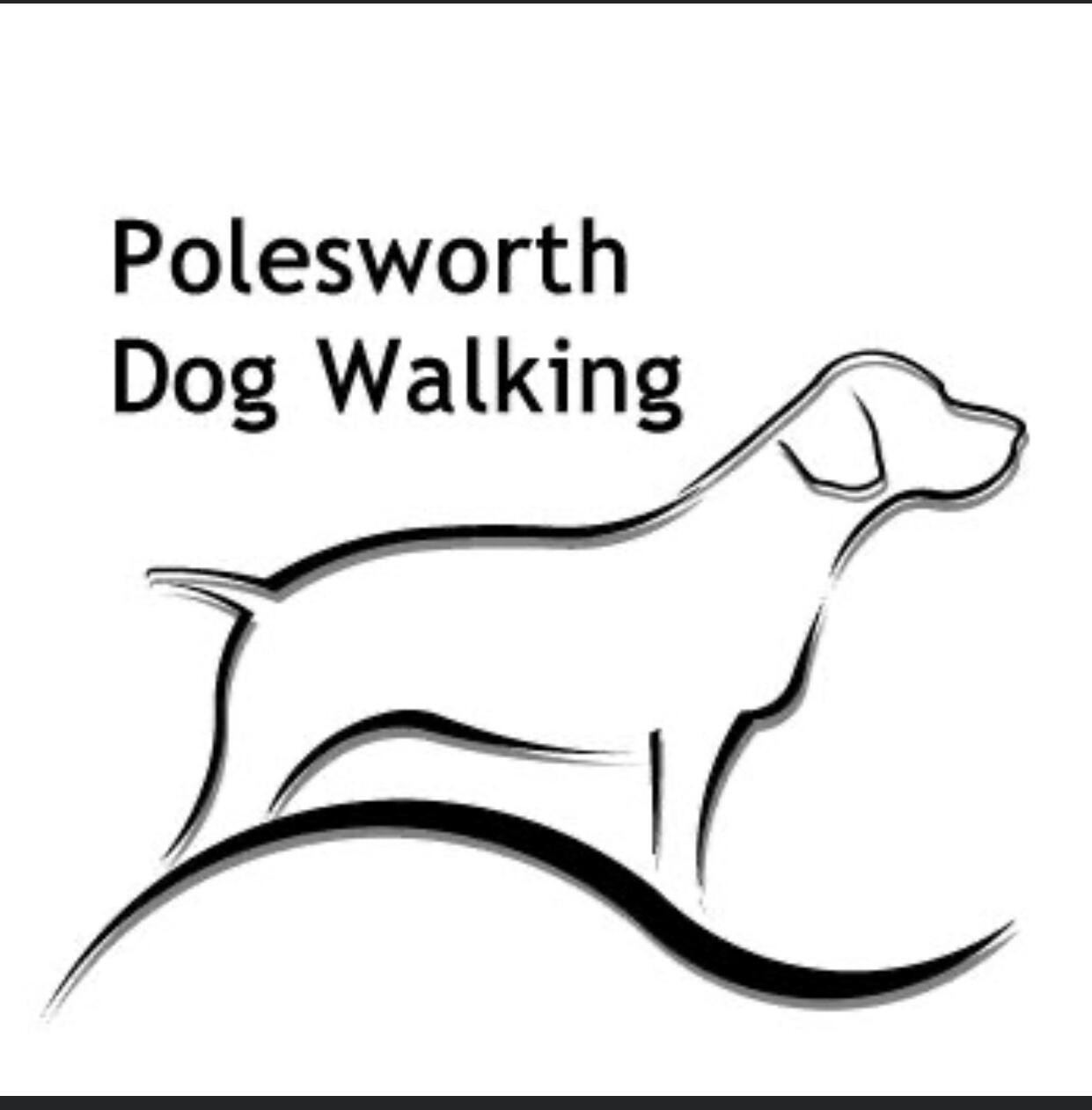 Polesworth Dog Walking Tamworth Nextdoor