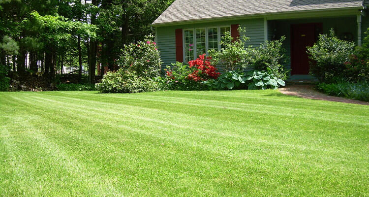 Lawn Care & Landscaping Company Serving Kansas City Missouri