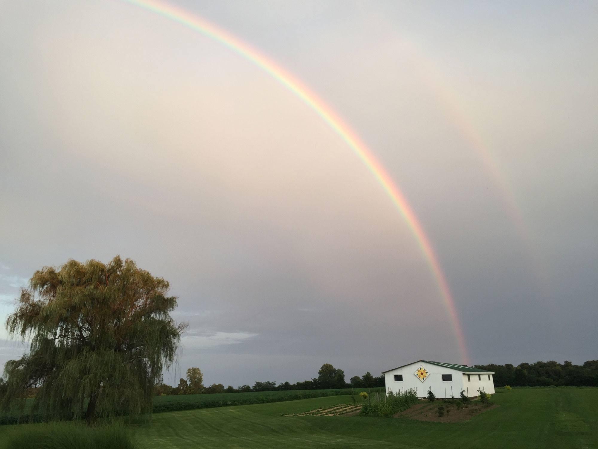 Stoer Farm Market and Apiary Nextdoor