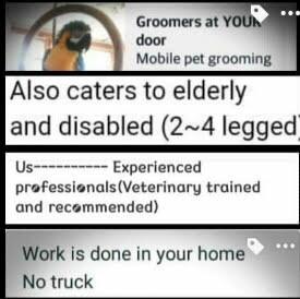 At your door mobile best sale pet grooming