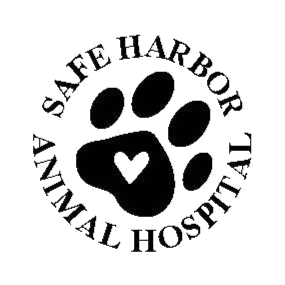 Safe Harbor Animal Hospital - Grand Rapids, MI