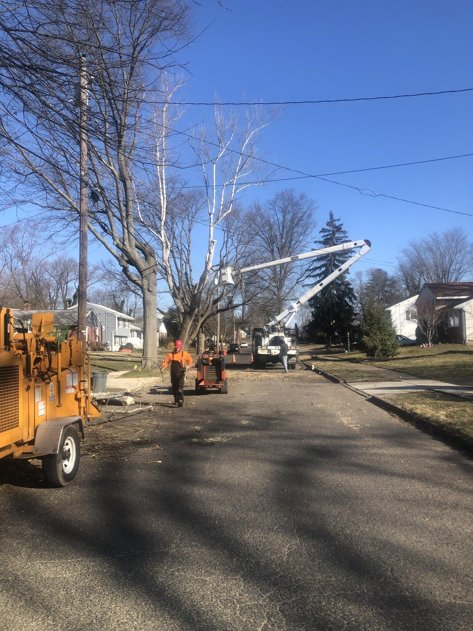 V&R Tree Service Somerdale, NJ Nextdoor