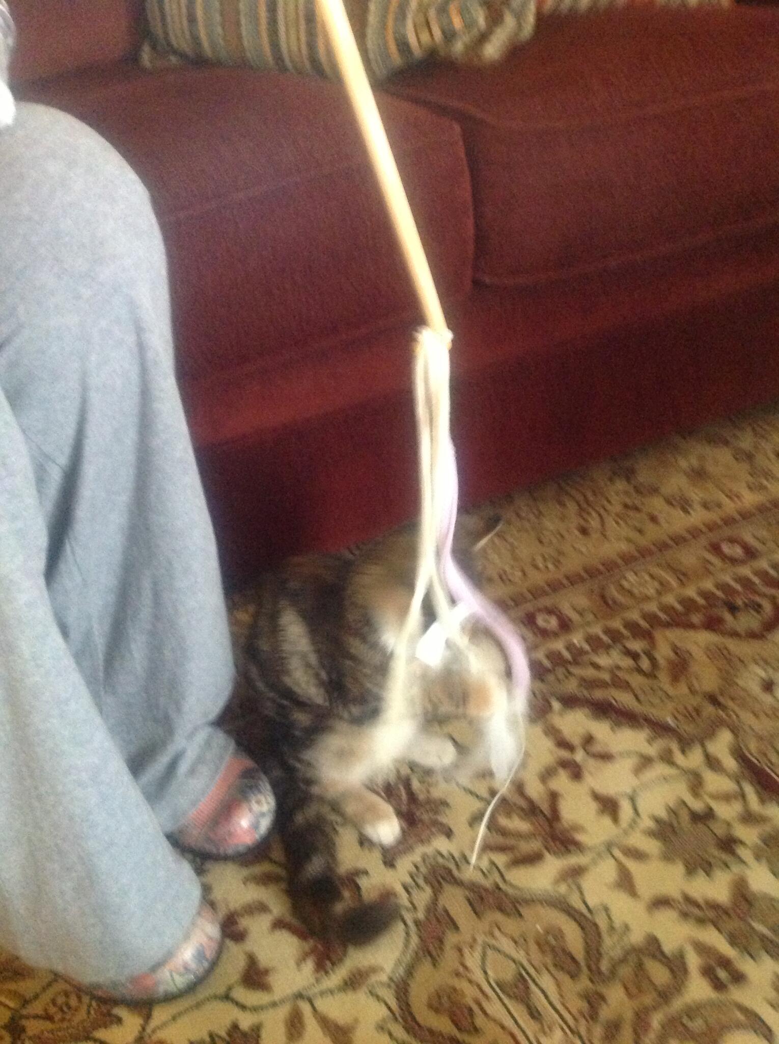 Pools Dublin, GA Nextdoor