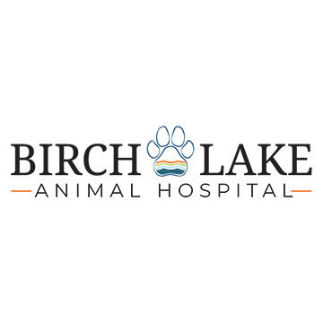 Birch best sale animal hospital