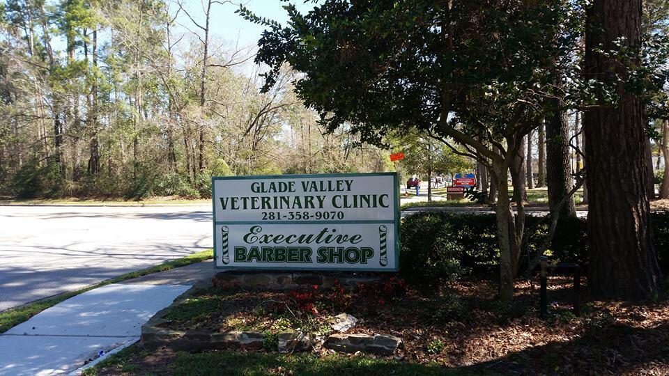 Forest glade veterinary 2025 clinic