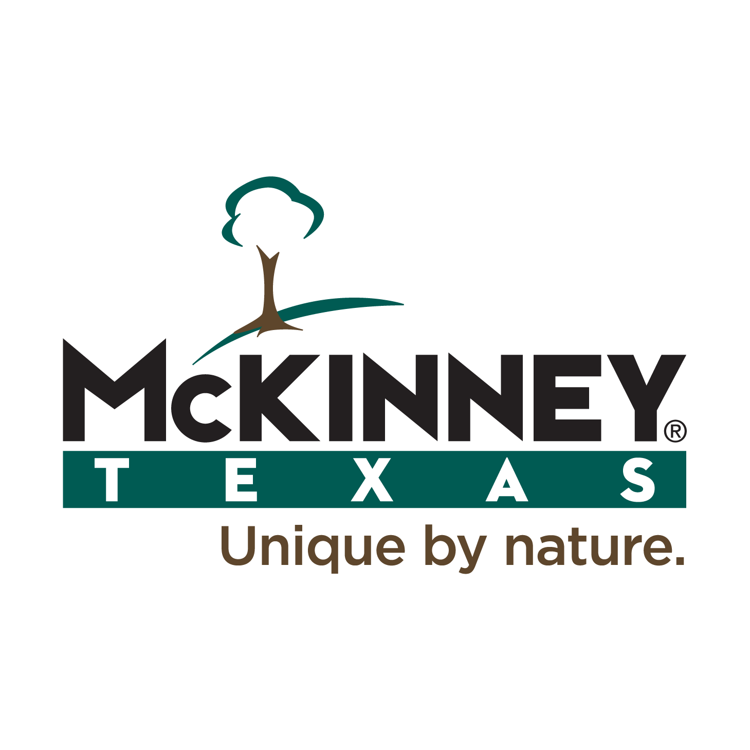 citizen-self-service-css-portal-is-upgrading-on-feb-4-mckinney