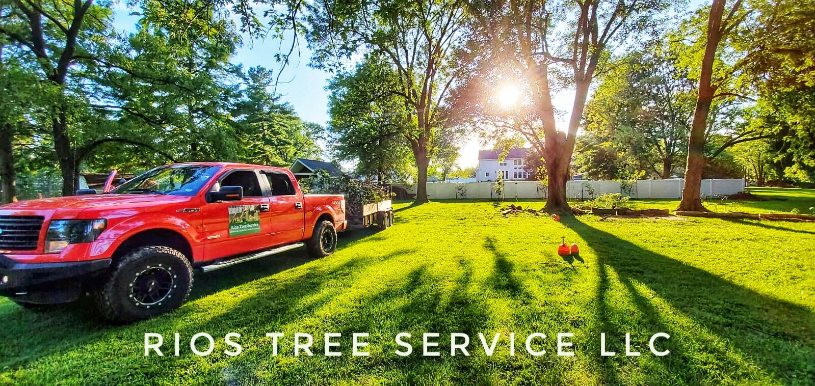 Rios Tree Service LLC - Nextdoor