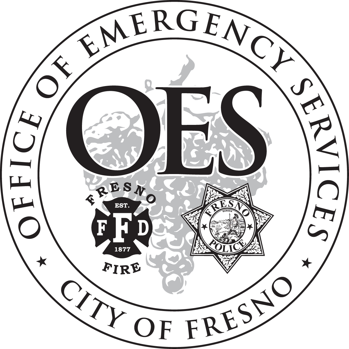 City of Fresno Office of Emergency Services 1 Public Safety update