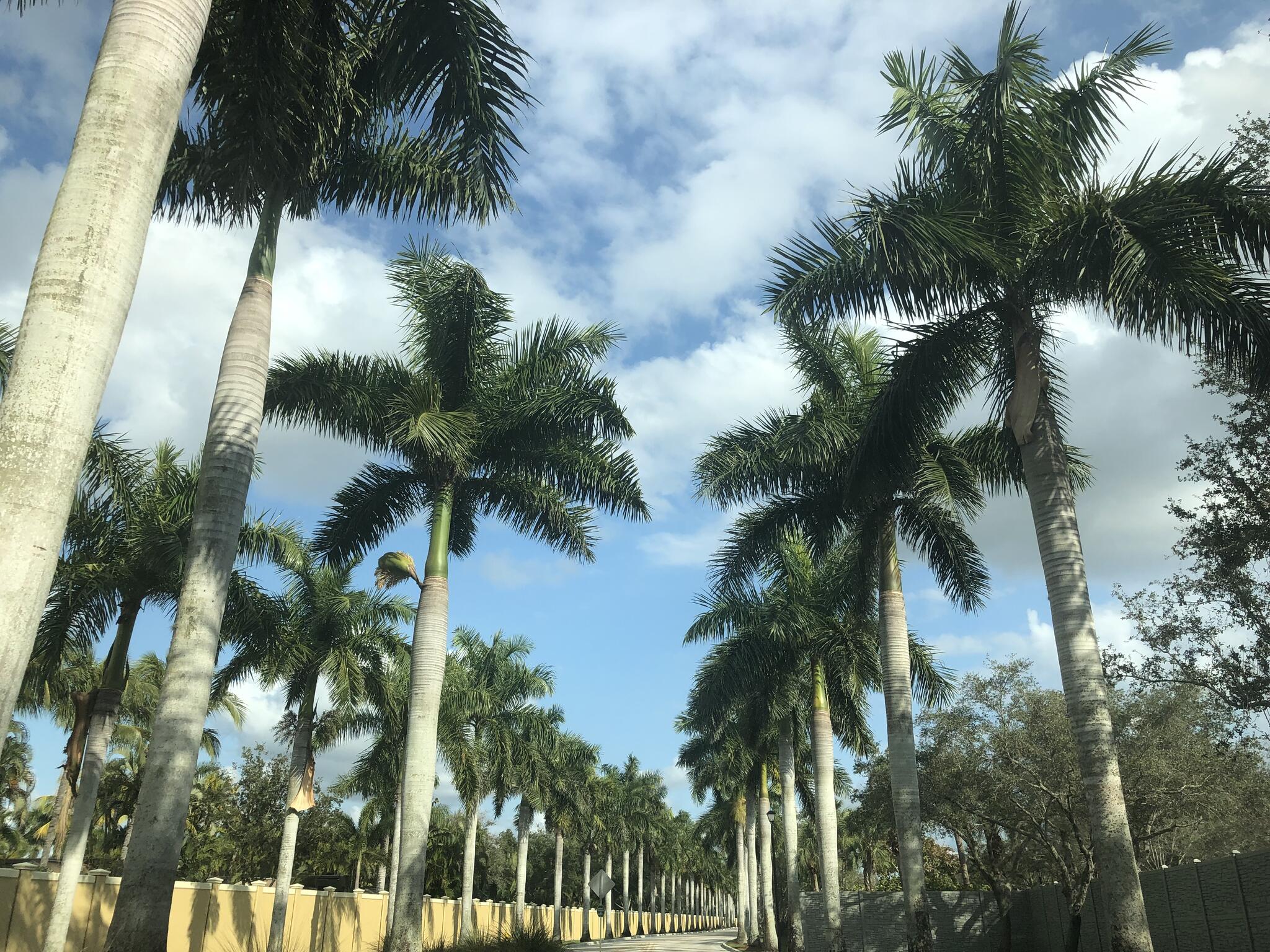 Elina’s Home Services Naples, FL Nextdoor