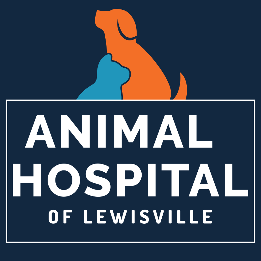 Animal Hospital of Lewisville - Lewisville, NC - Nextdoor