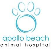 Apollo Beach Vet Clinic: Your Complete Guide to Pet Care in Paradise