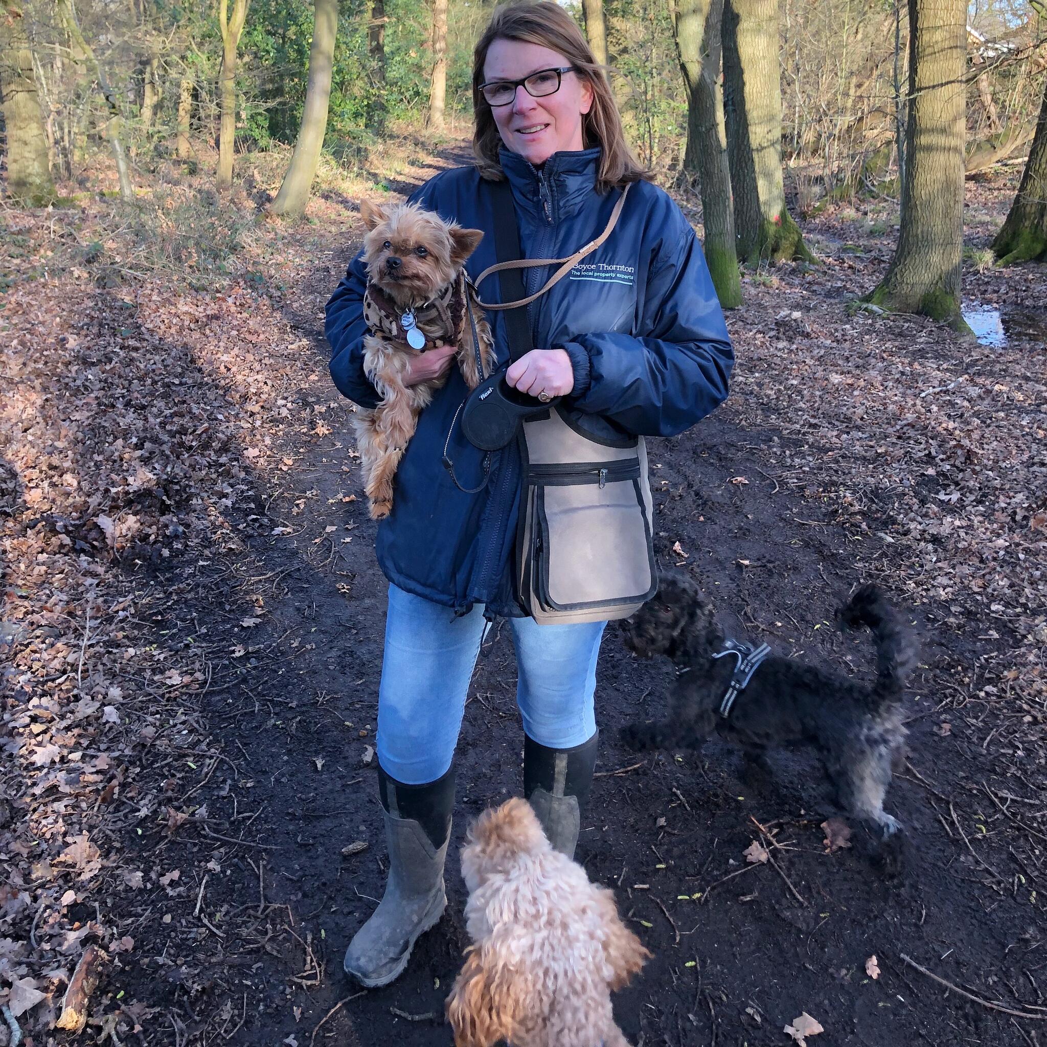 Nikki's Home From Home Dog Boarding East HorsleyLeatherhead, England