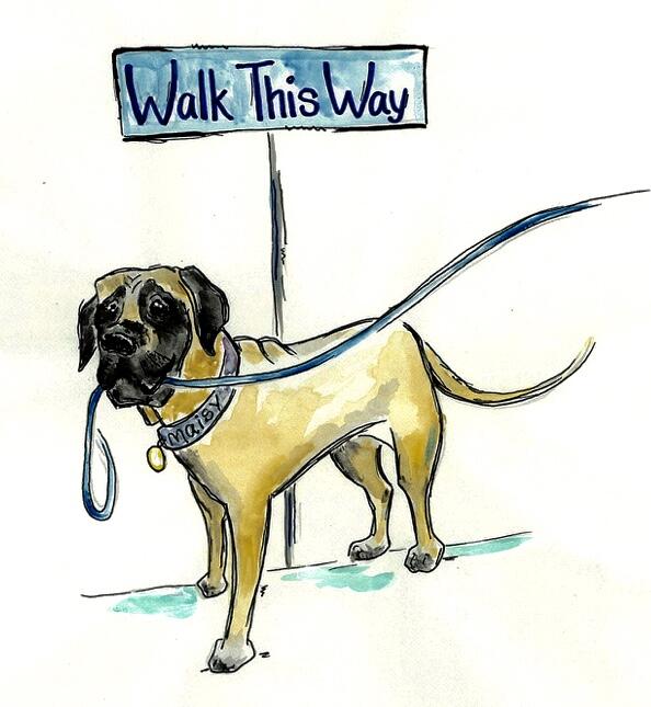 Walk this store way dog walking