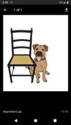 Brown Dog Chair Caning