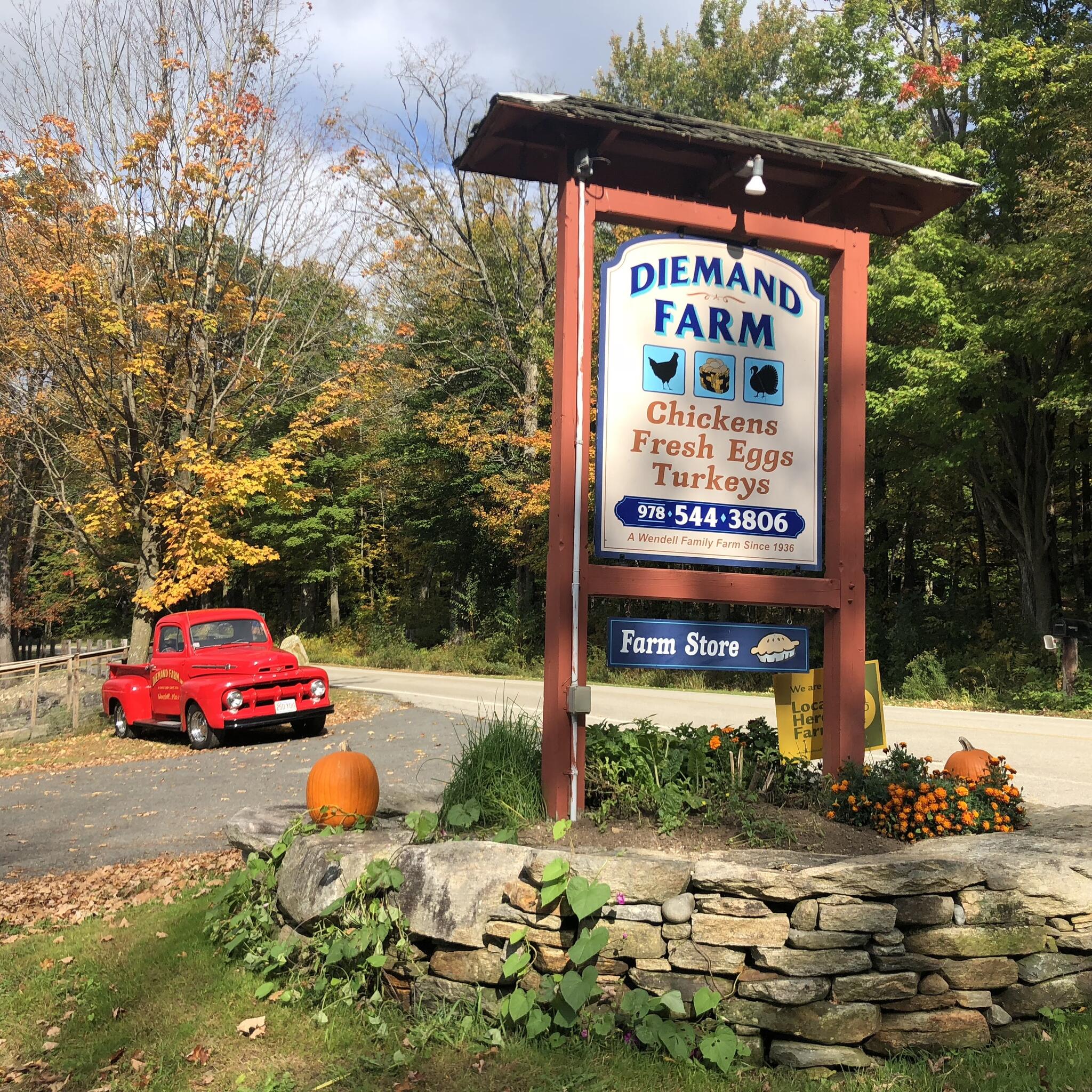 Diemand Farm Wendell, MA Nextdoor