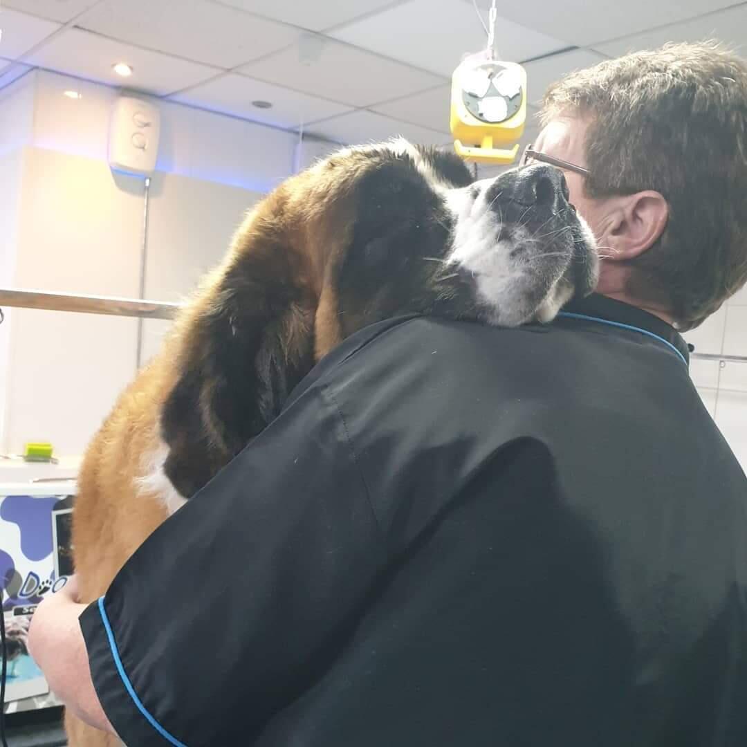 Lakeview Professional Dog Grooming Salon Liverpool, England Nextdoor