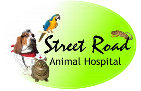 Neshaminy best sale animal hospital