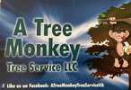 A Tree Monkey Tree Service LLC