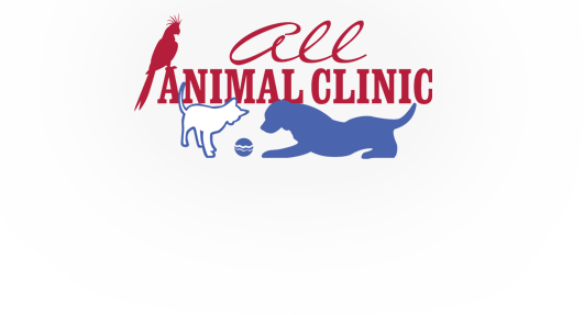 Maverick animal sale clinic