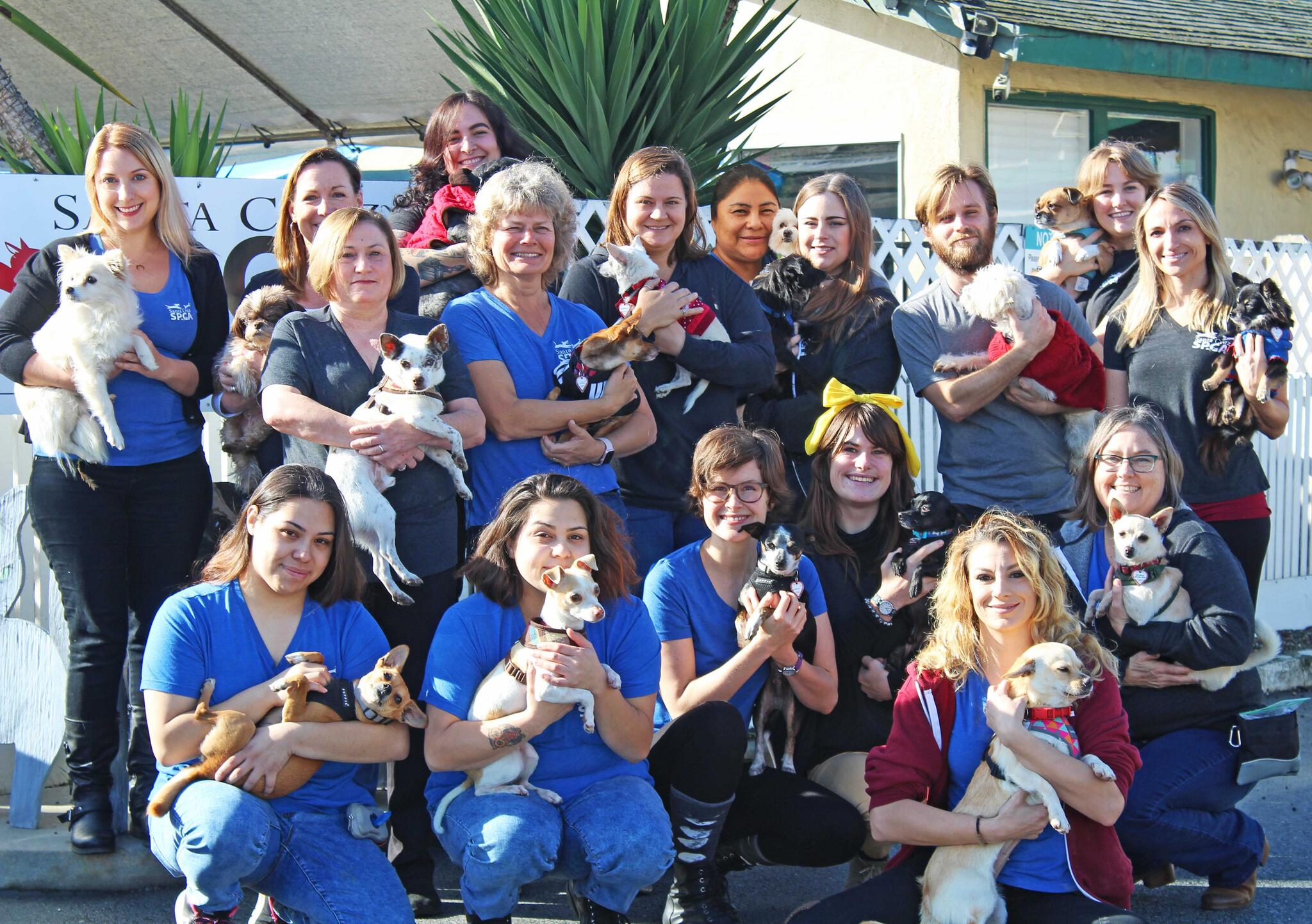 Animal House Grooming Santa Cruz CA Nextdoor