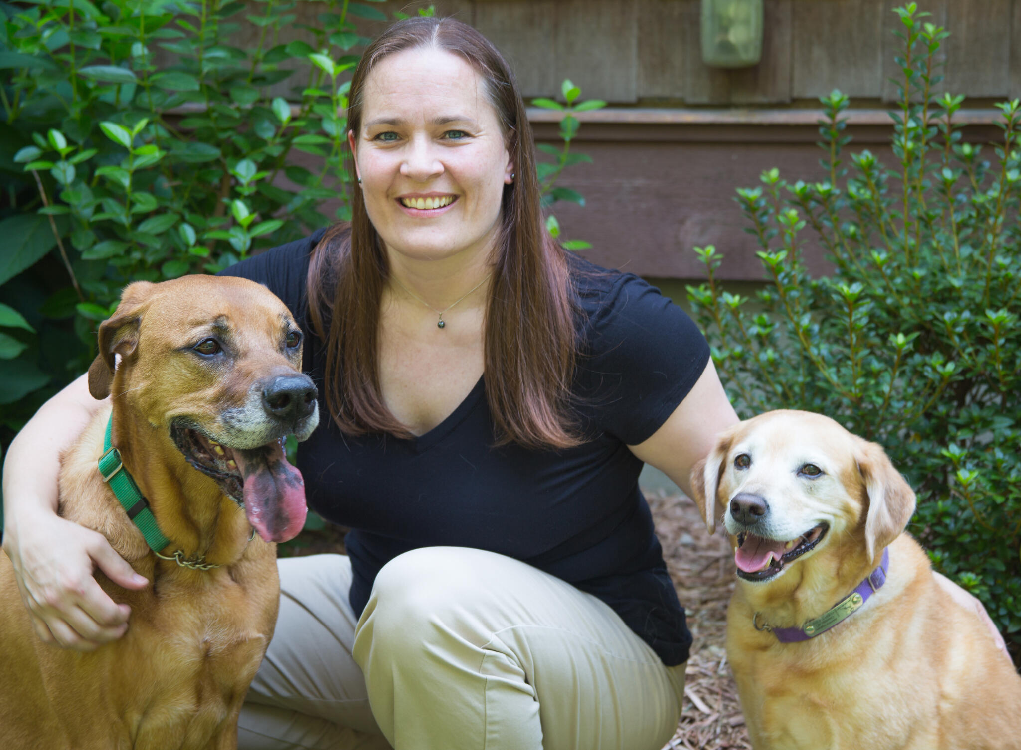 Pawsitve Solutions Pet Sitting Charlotte, NC Nextdoor