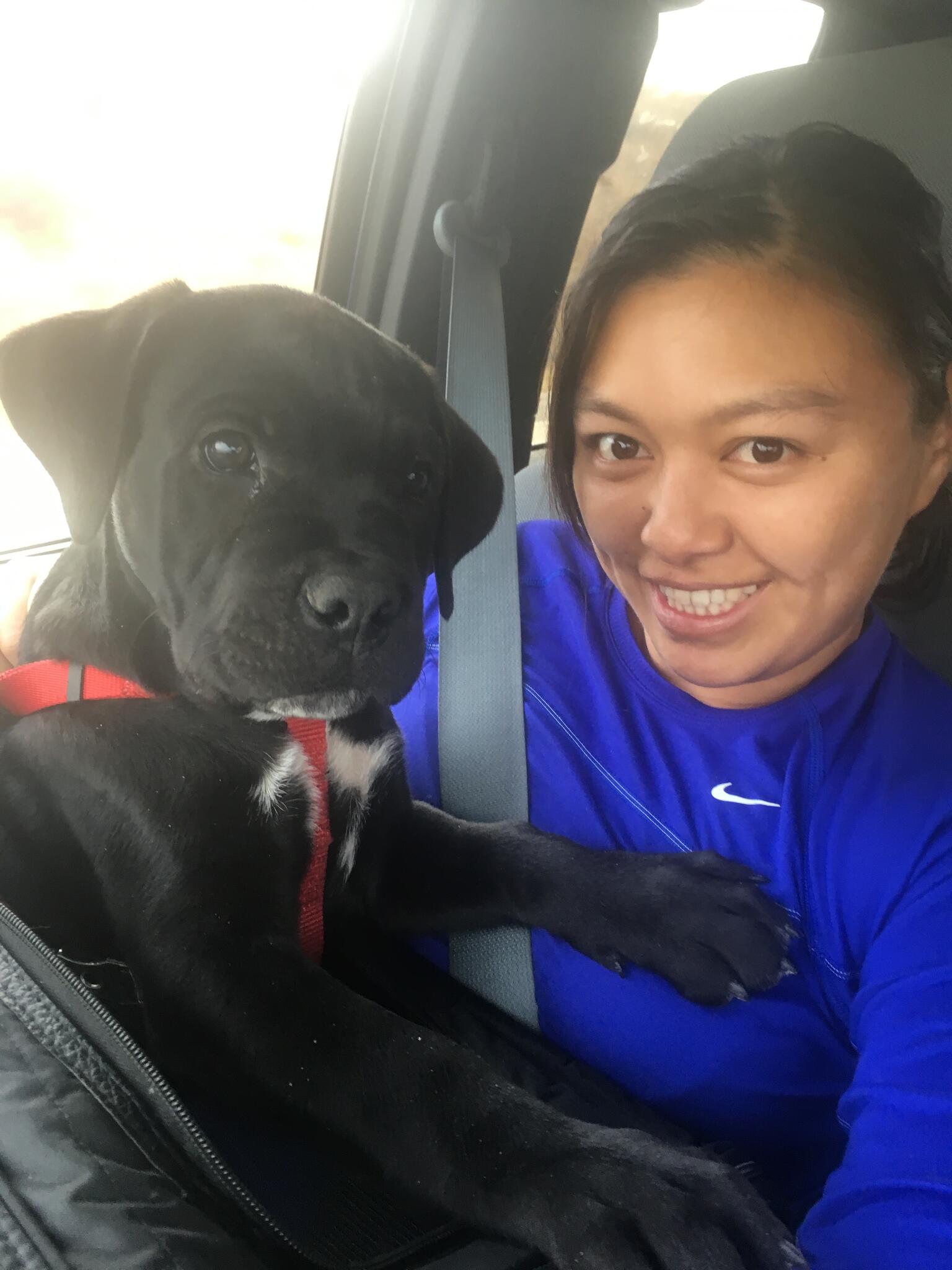 Rover.com Dog Boarding - Nextdoor