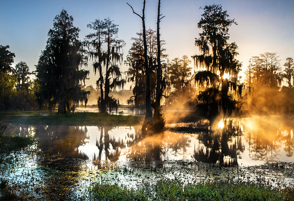 Polk County - 1779 updates
