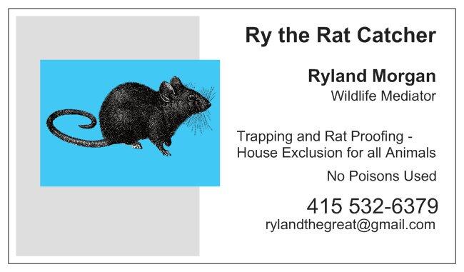 Ry The Rat Catcher - Fairfax, CA - Nextdoor