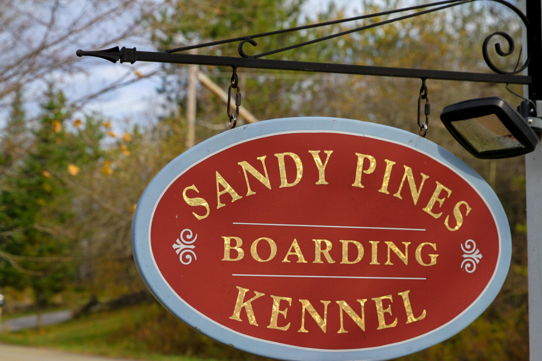 sandy pines boarding kennel inc