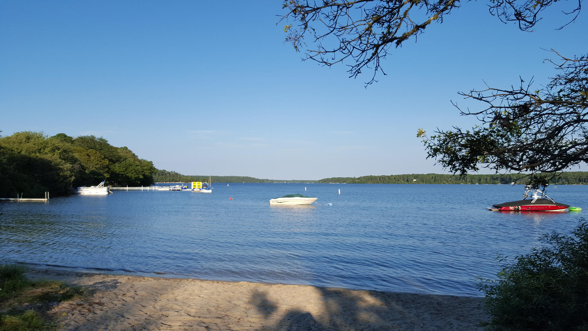 Linda Collins, Kinlin Grover Compass Realtor 30+ years Harwich, MA