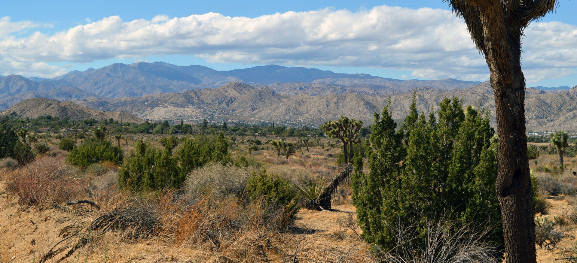 #DidYouKnow In May, the Yucca Valley Town Council awarded the ...