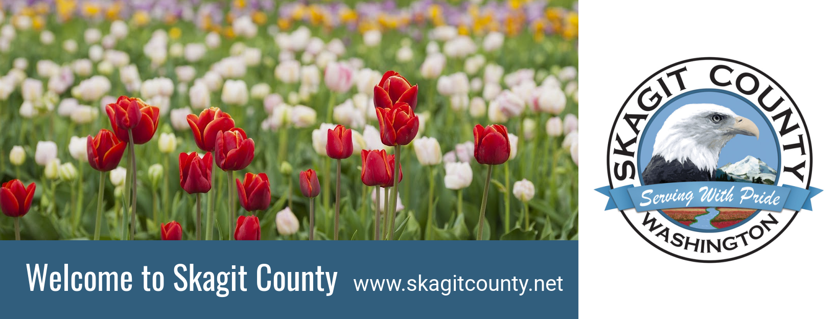 Skagit County Property Tax