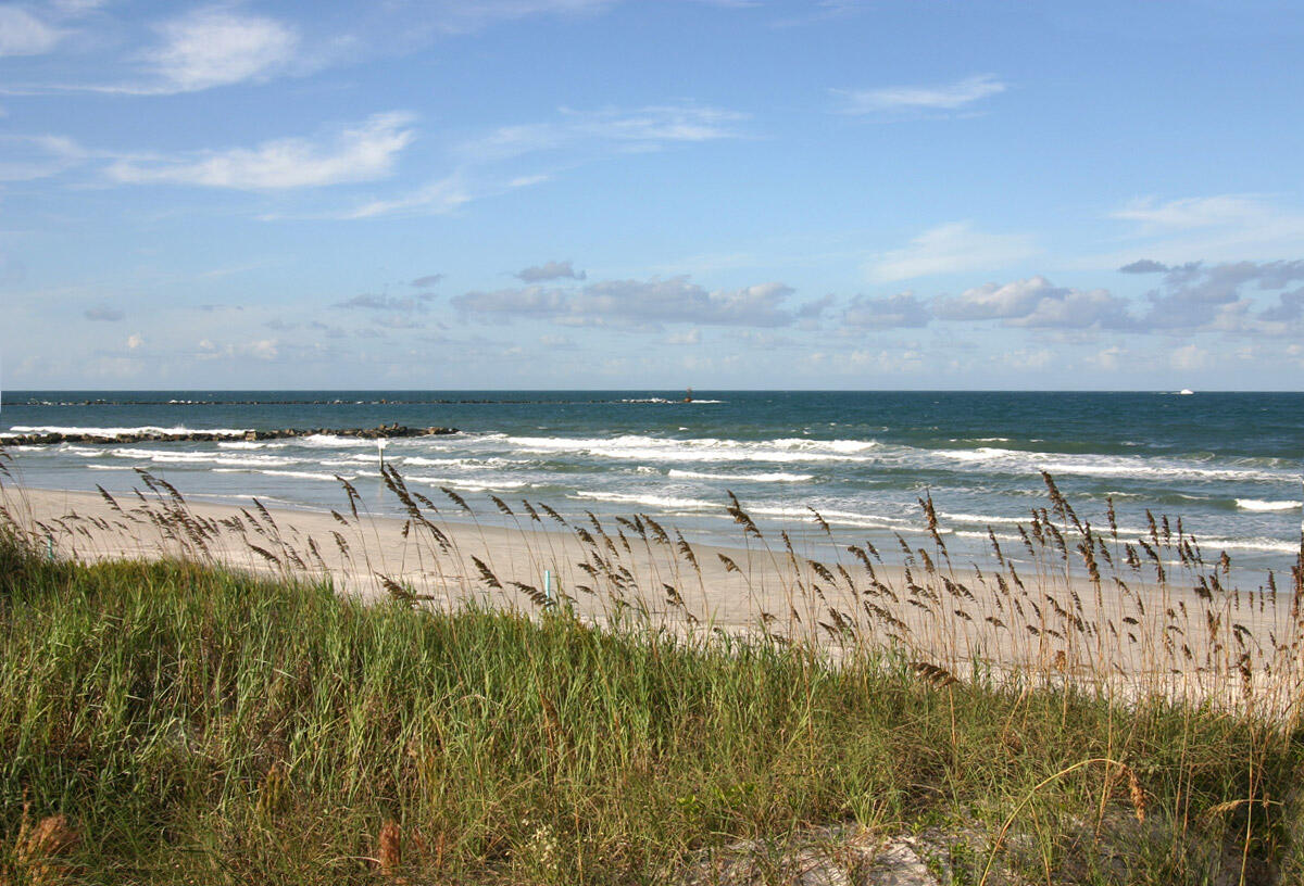 Volusia County offers free tire disposal event in New Smyrna Beach to cut mosquito breeding