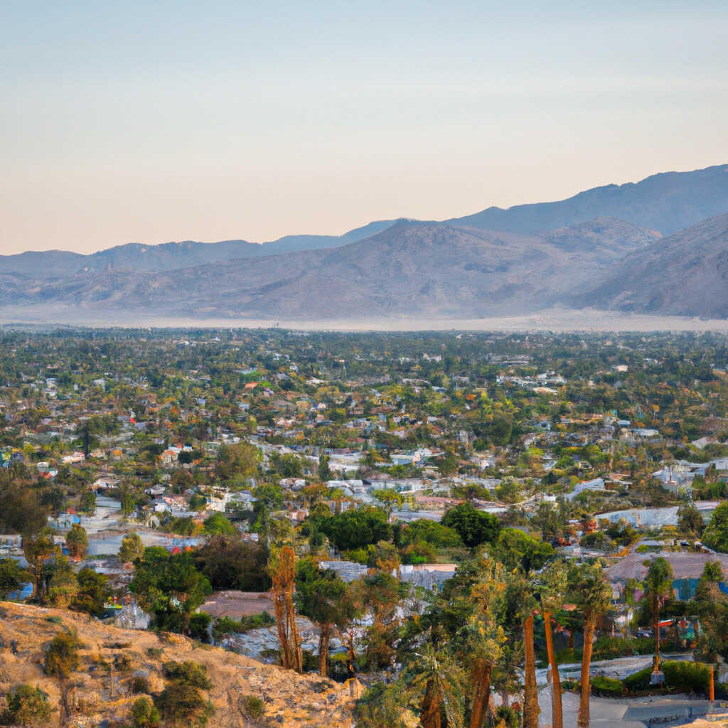 Brava, Palm Desert News, Crime, Lost Pets, Free Stuff