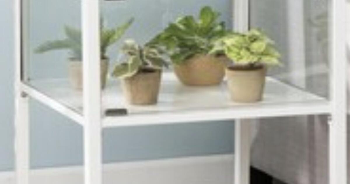 Terrarium End Table for 40 in St. Augustine, FL Finds — Nextdoor