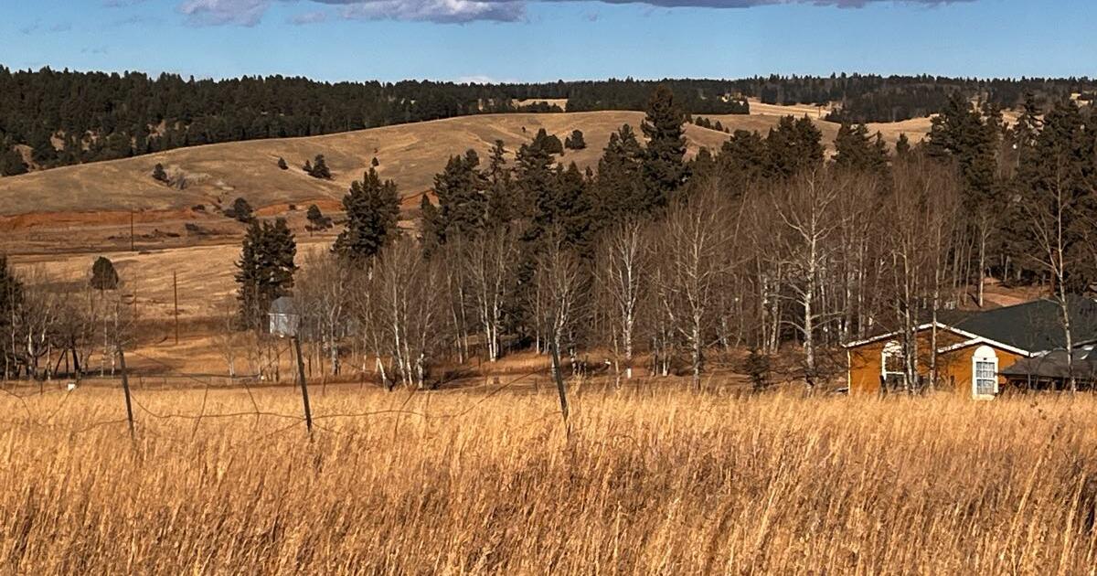 Land for sale in Sherwood Forest 1.38 Acres Fenced in Divide, CO