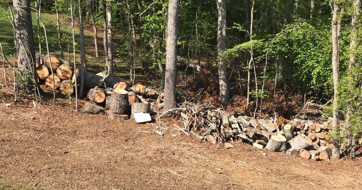 Free Firewood for Free in Spotsylvania, VA Finds — Nextdoor