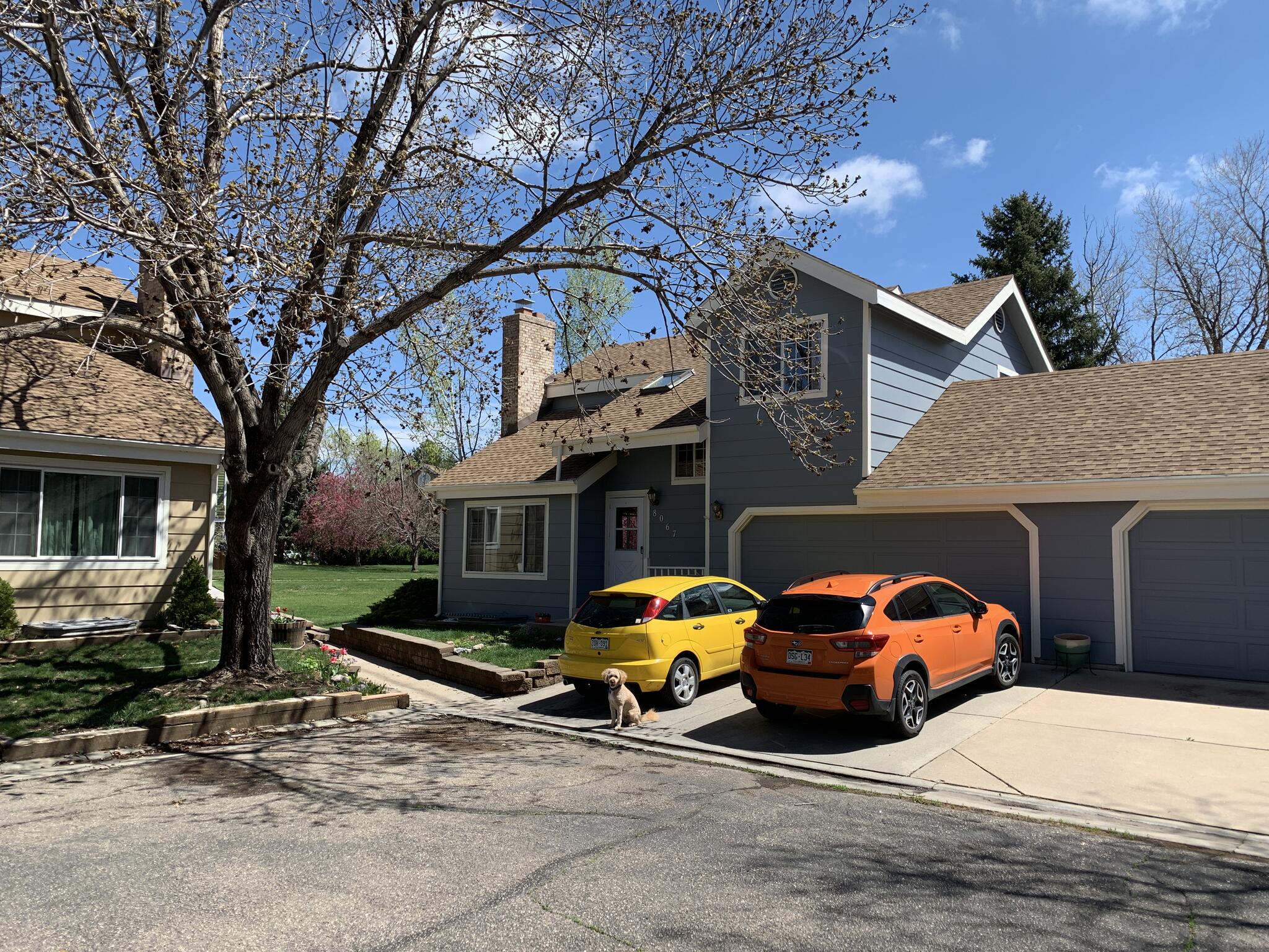 Basement Room For Rent 900.00* for 900 in Niwot, CO For Sale & Free