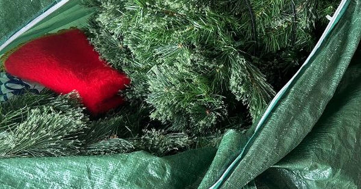Mountain King Christmas Tree FREE for Free in North Port, FL For