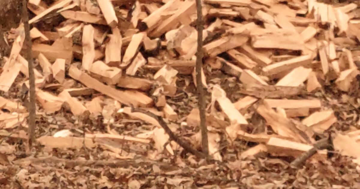 Firewood for sale as plus hickory and maple for barbecuing for 50 in